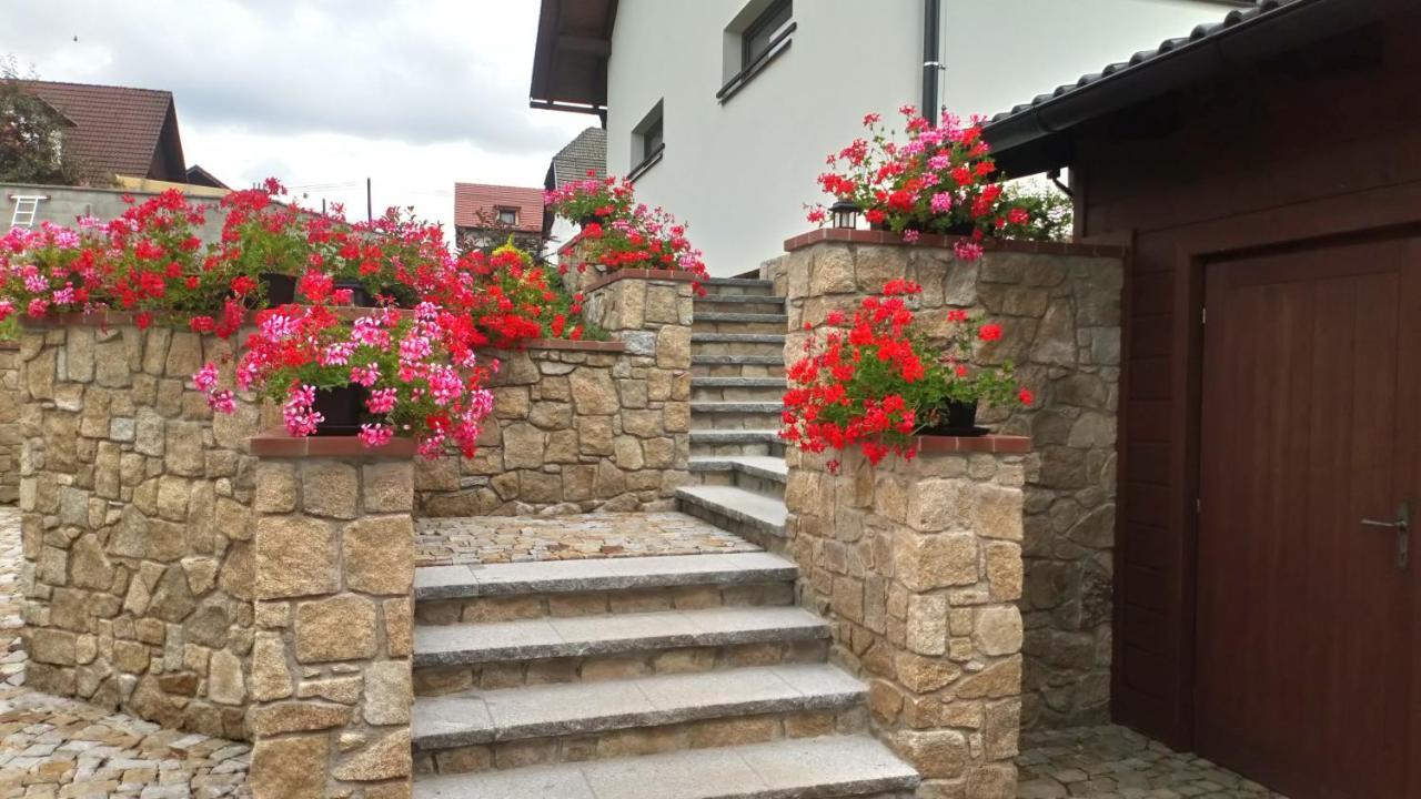 Apartment Nad Hristem 441